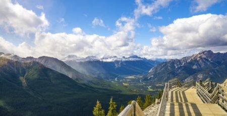 Hikers walking through forest trail in Banff National Park