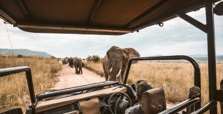 View from inside a safari vehicle on a dirt road, with a group of elephants walking nearby in a grassy landscape with hills in the background; one elephant is especially close to the vehicle, and the driver is visible wearing a hat.